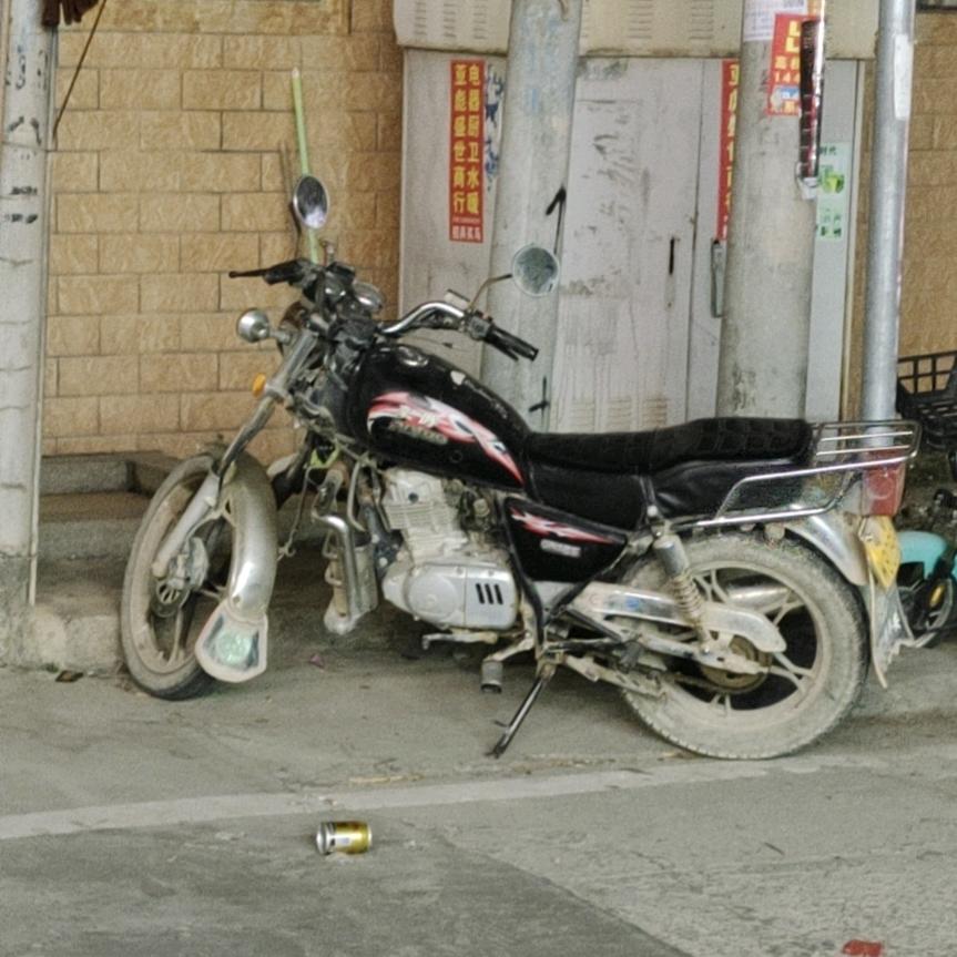 顺顺尼