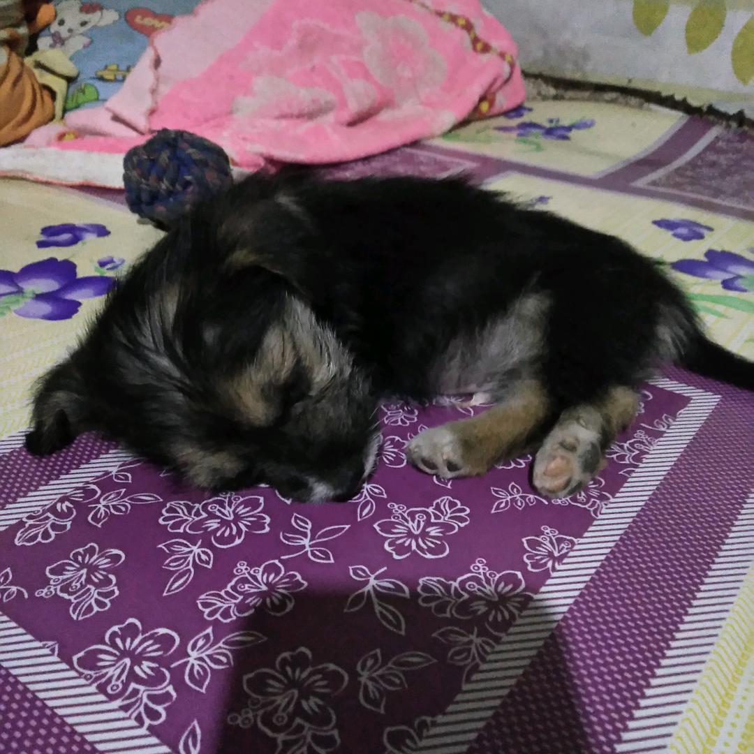 宁逆苍天不负心