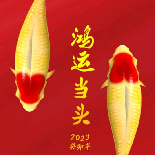 来钱儿