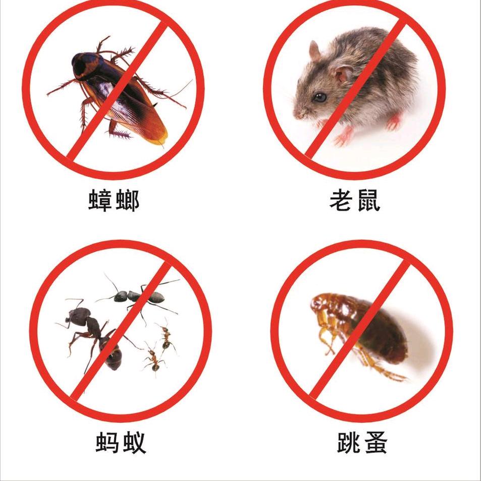 台州专业除虫