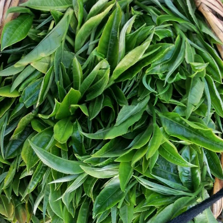 小徐茶莊《乡村茗茶》