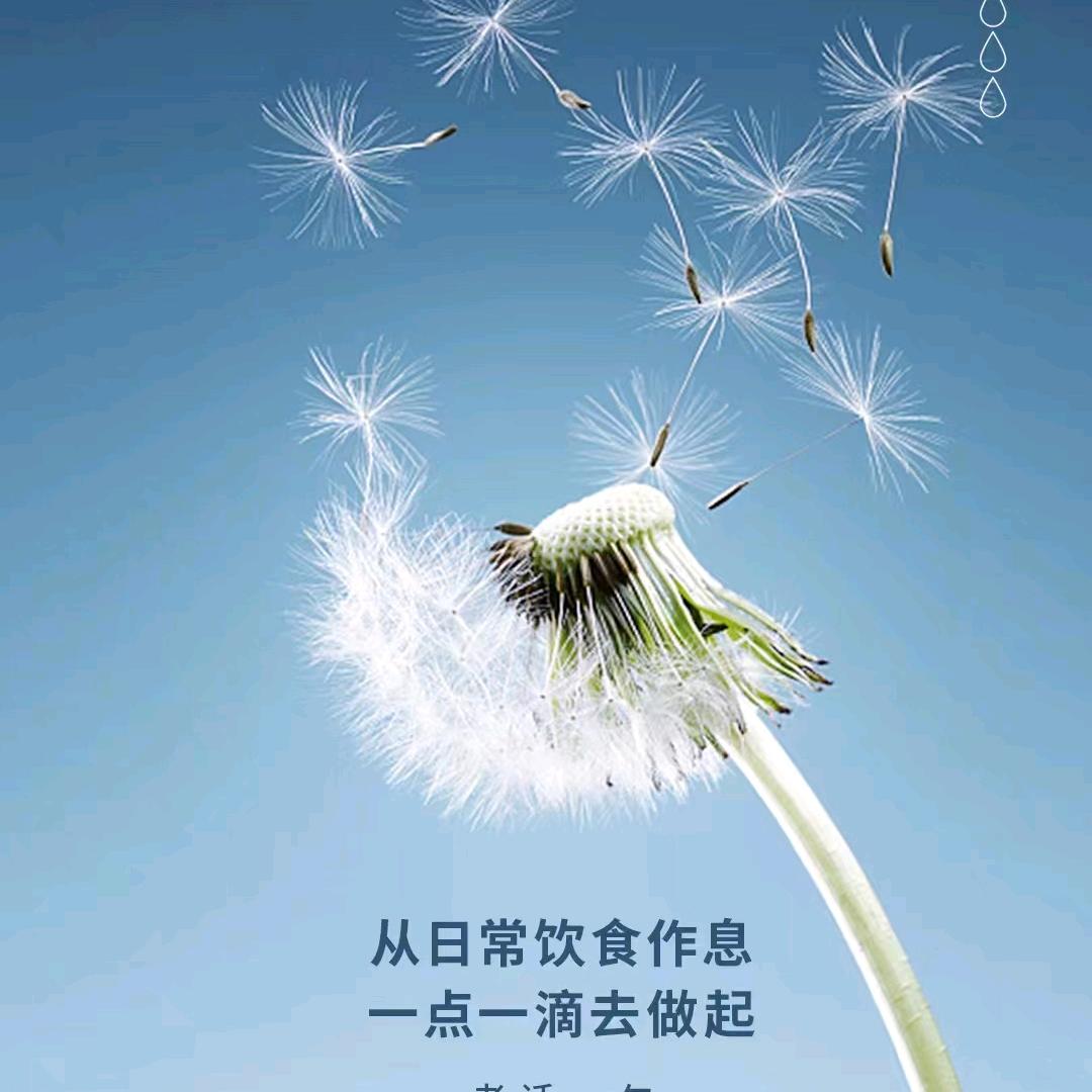 木子木（好物分享）
