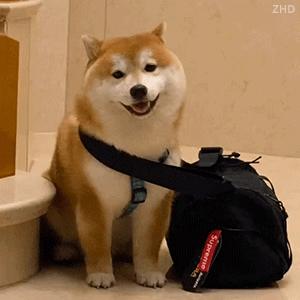 归零🇨🇳