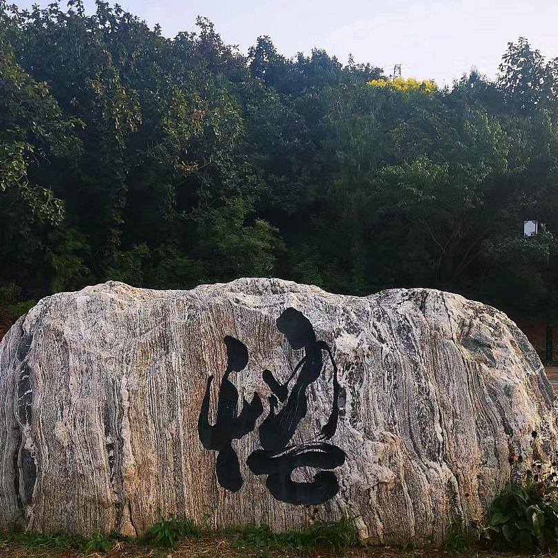 随风(随手拍)
