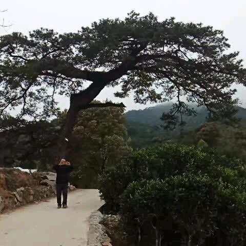 从新开始