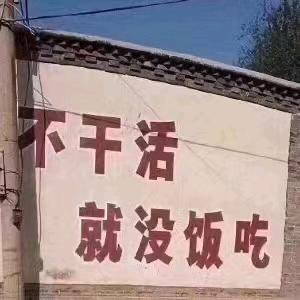 。，。，