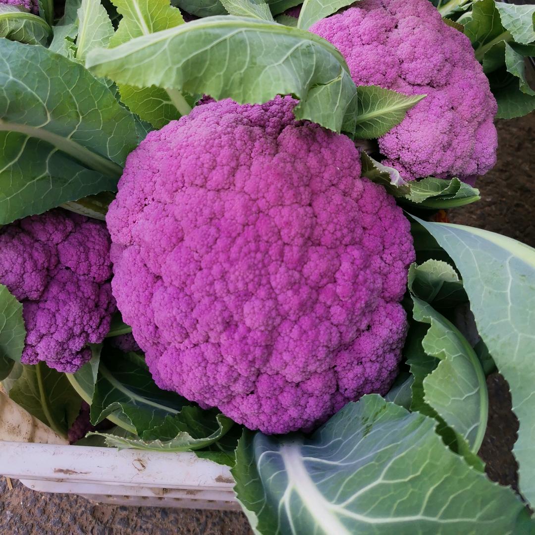 坐在坟头逗鬼玩