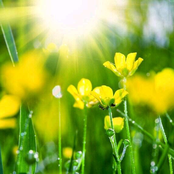 💞ꦿ紫 ꦿ梦ꦿ蝶ꦿ 依ཀྀ࿐