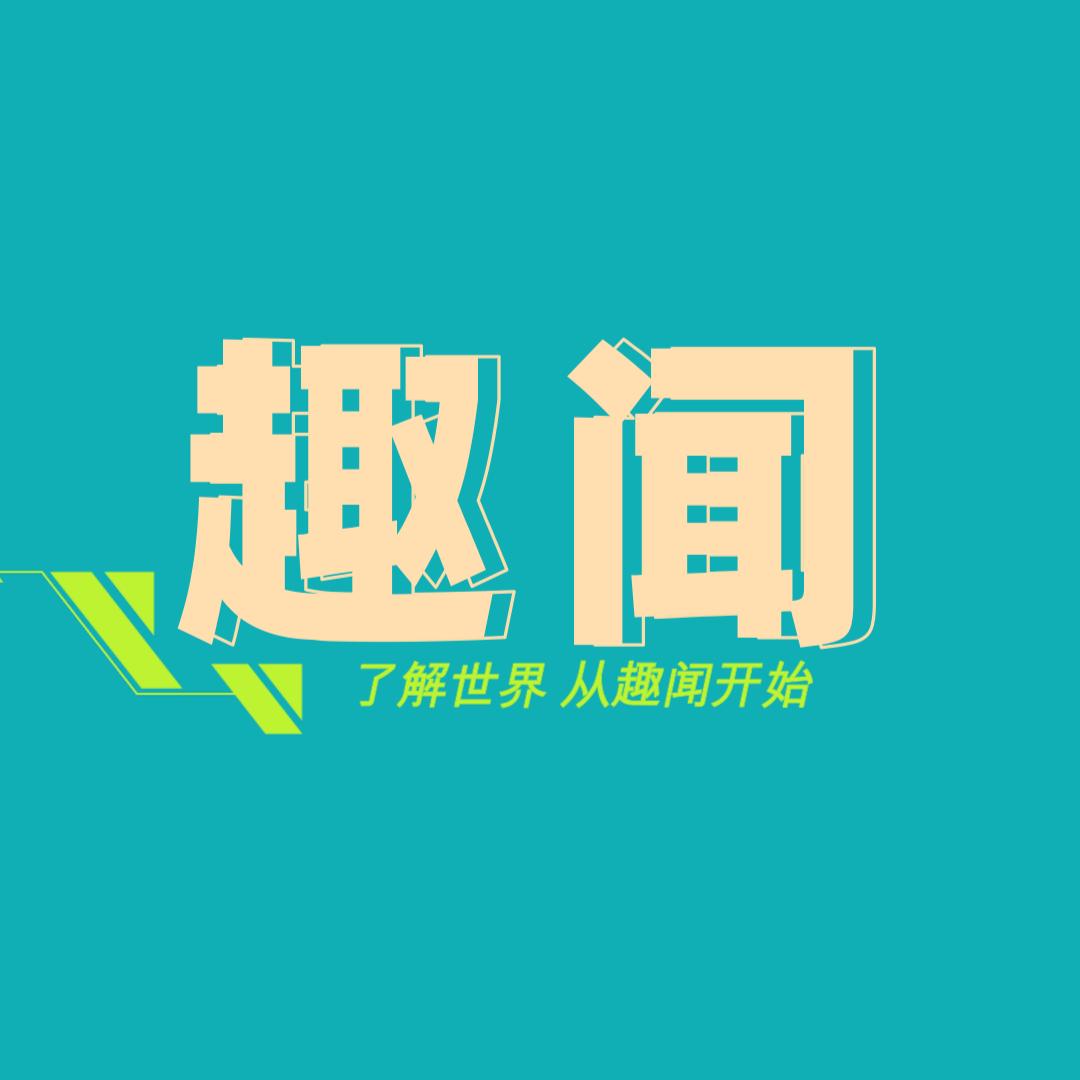 趣闻动态