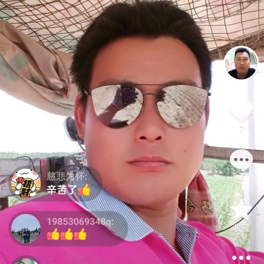 犁蒜小麦玉米播种大蒜龙梗。