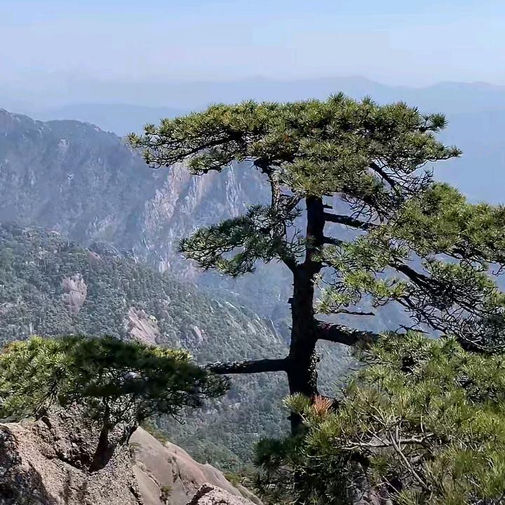 默