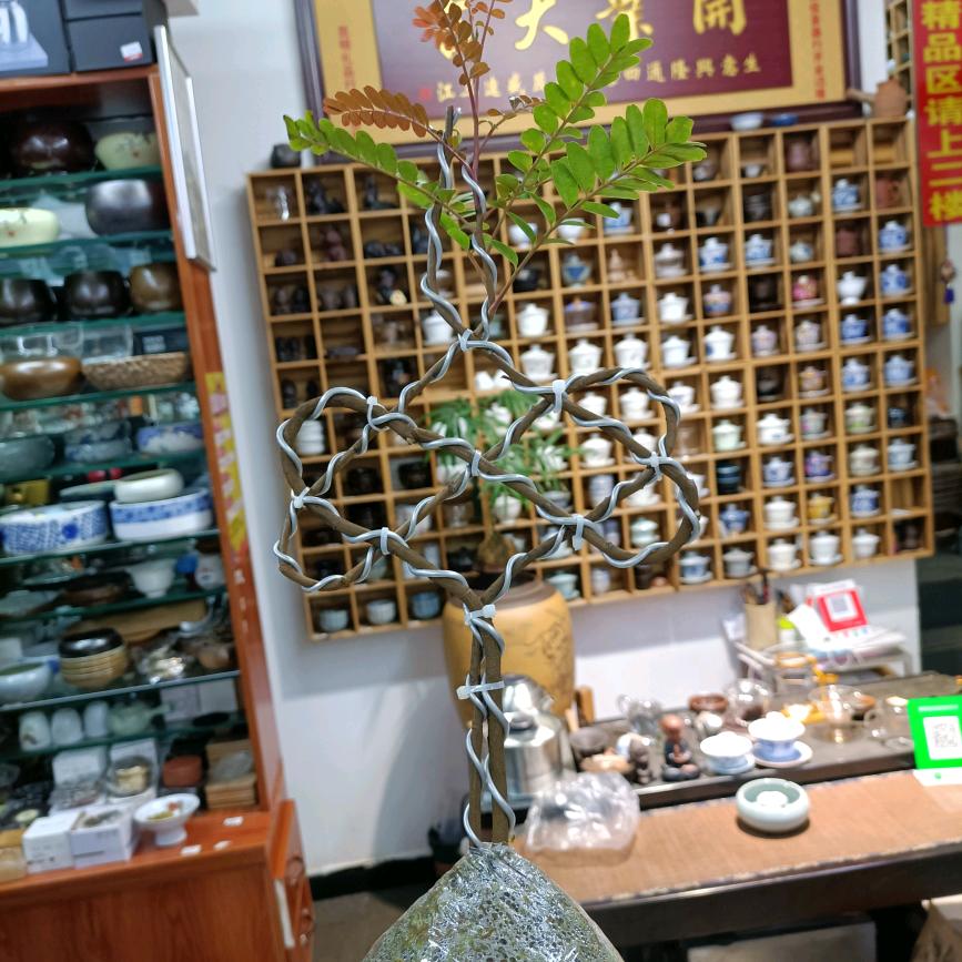 宜良御佳茶器行