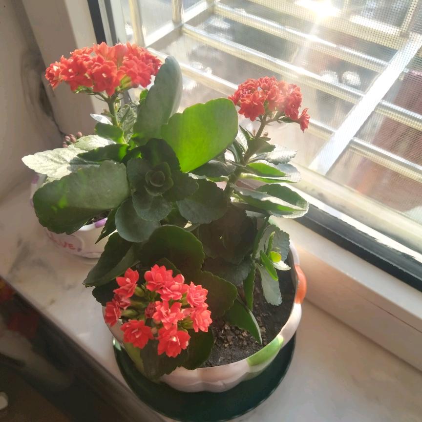 张师傅水电