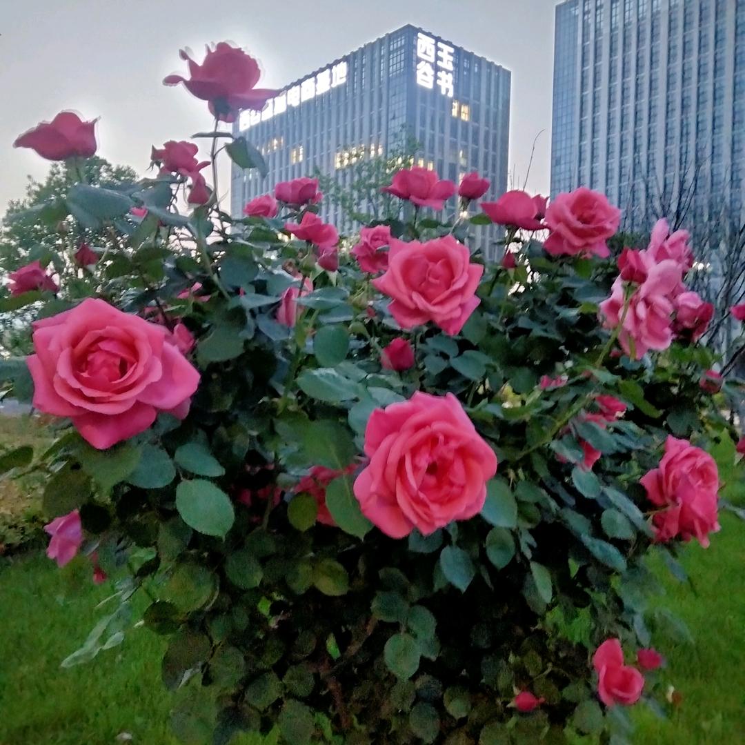 春去春又回@勇往直前