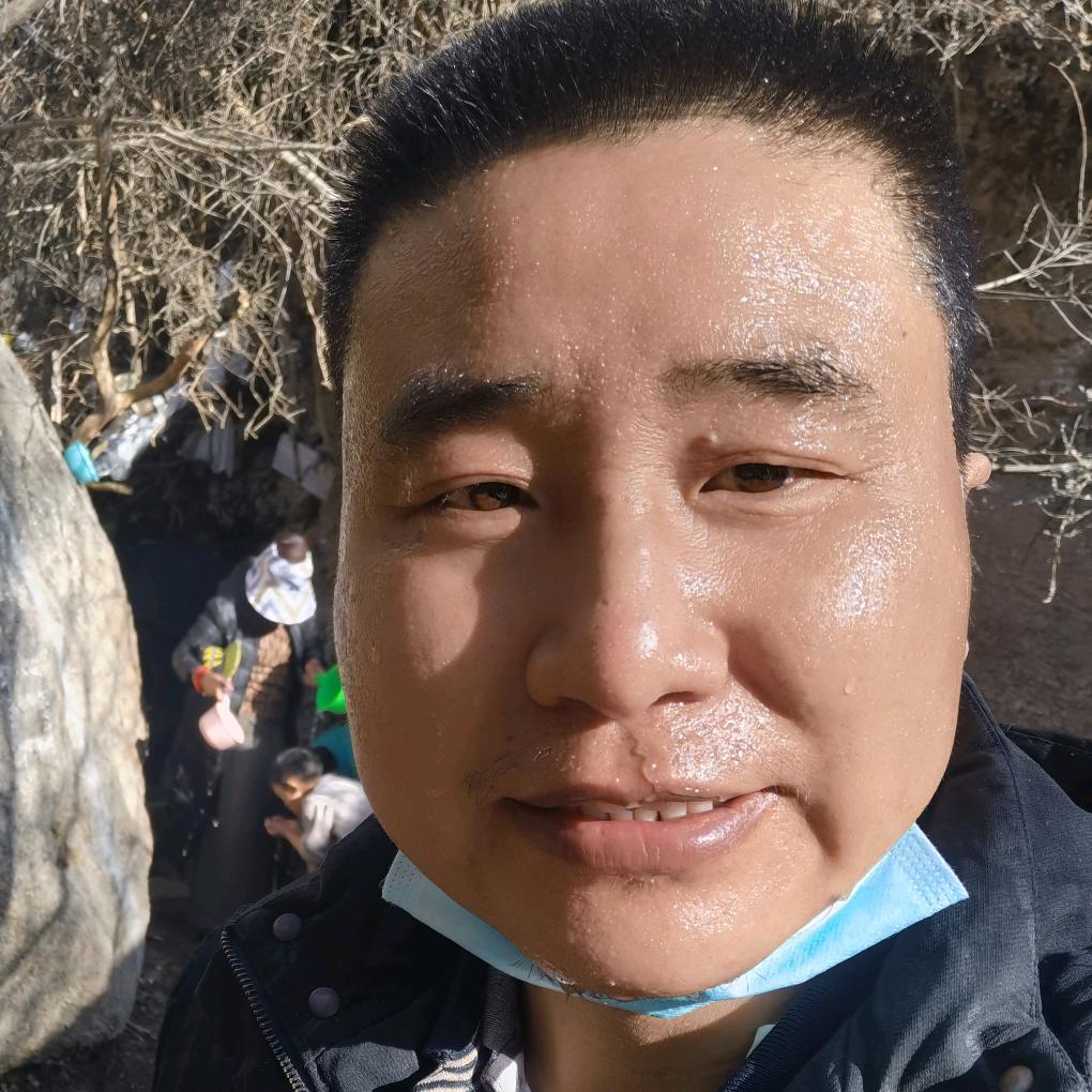 老张深度游