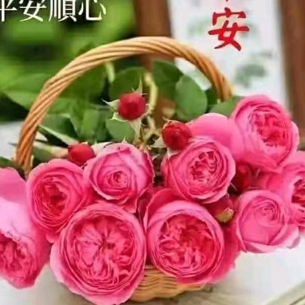 小常