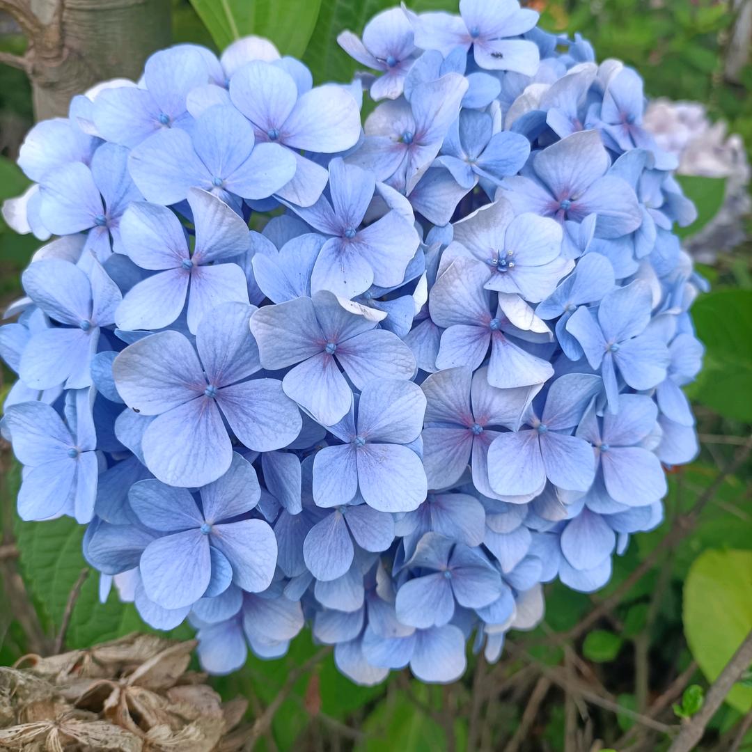 ꧁꫞꯭💋二姐💋꫞