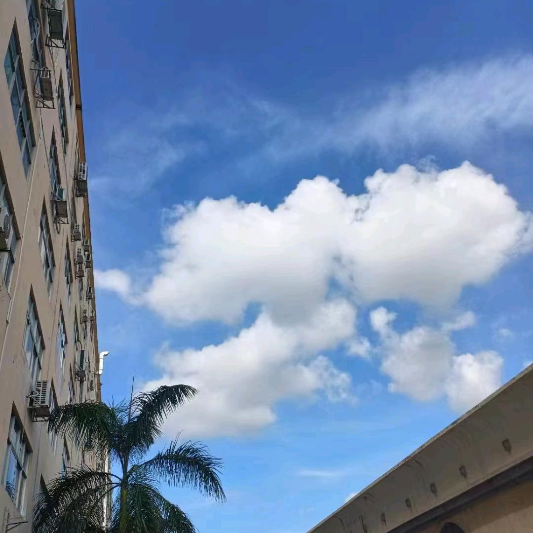晖蓬国际物流