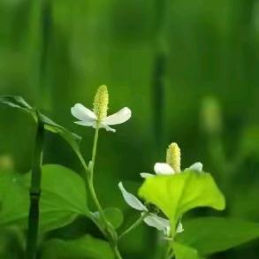 润心泽物