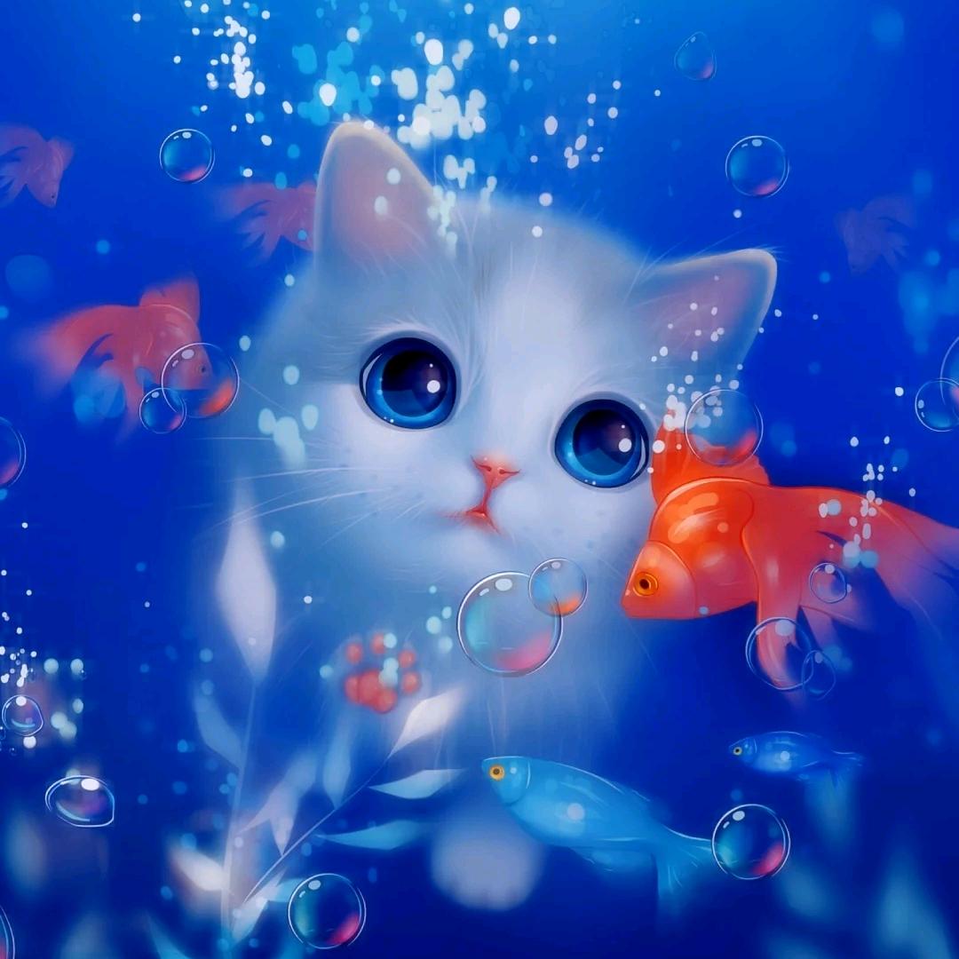 打不死的小强强