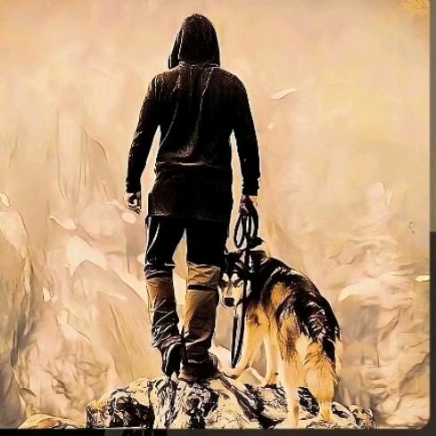 一个人的莎士比亚