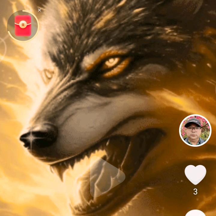 红狼（🇨🇳）《8872》（922）