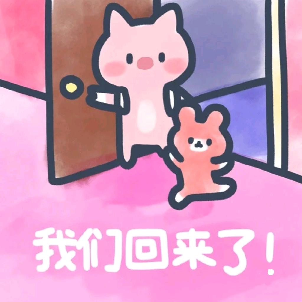 🌈桔梗🌈