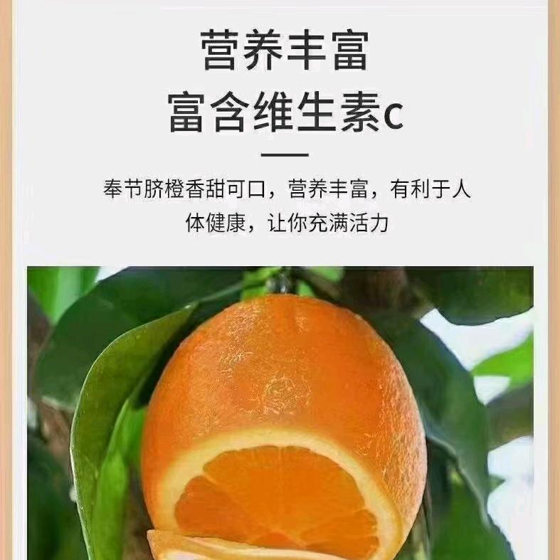 刘师傅小修小补