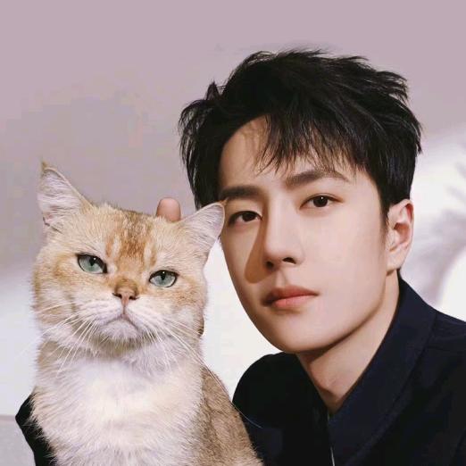 王一博的摩托姐姐