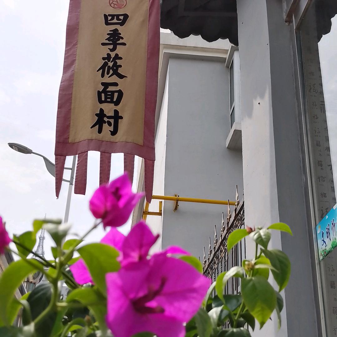 四季莜面村王掌柜