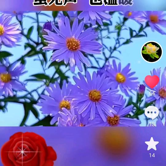 始终如一