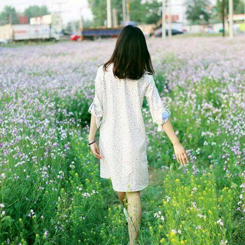 悦悦养花