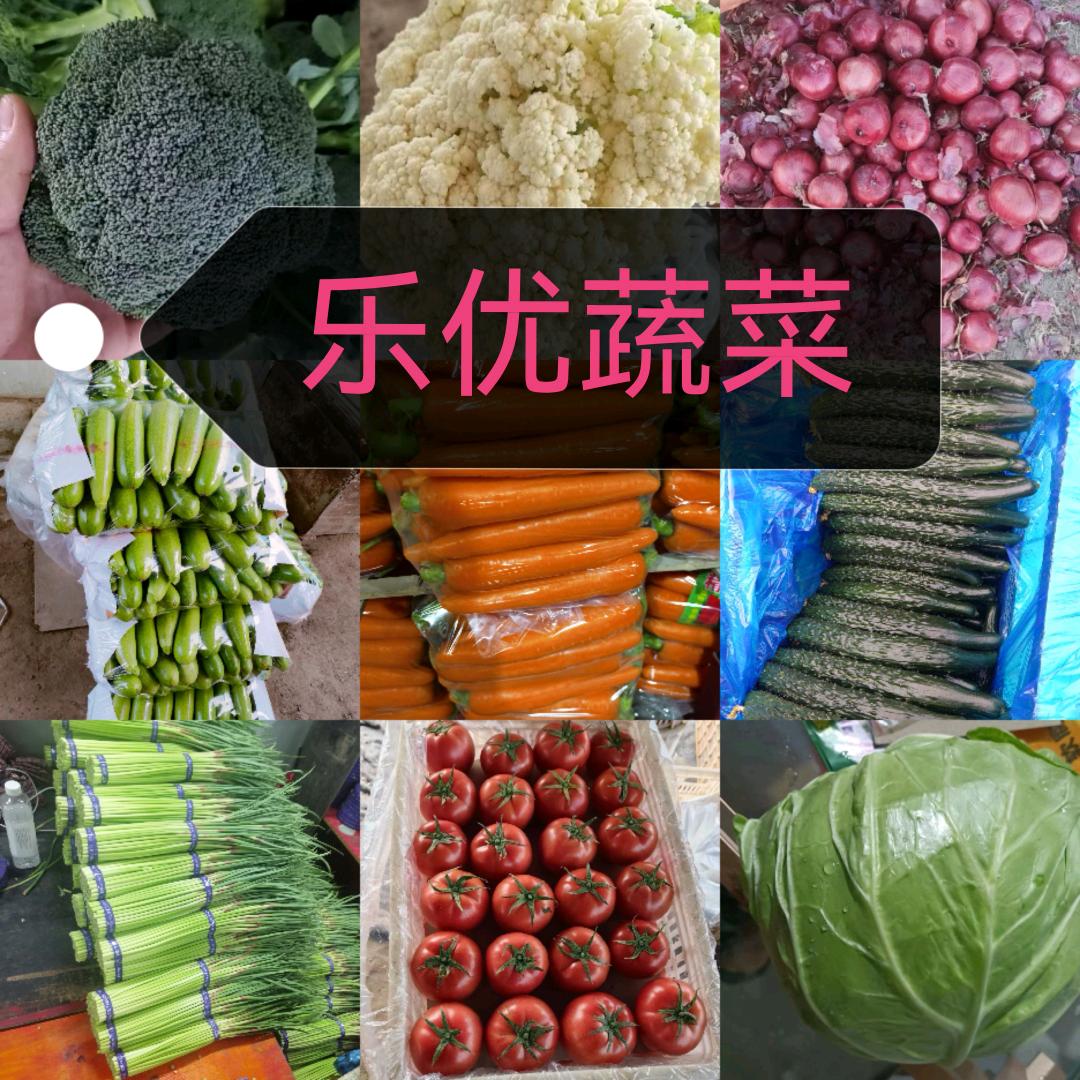 @乐优蔬菜
