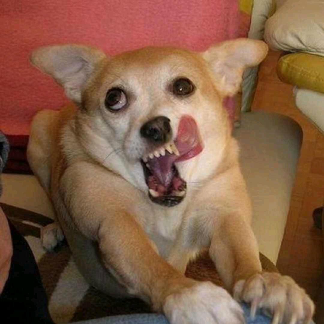 甘肃酒店智能化我最强