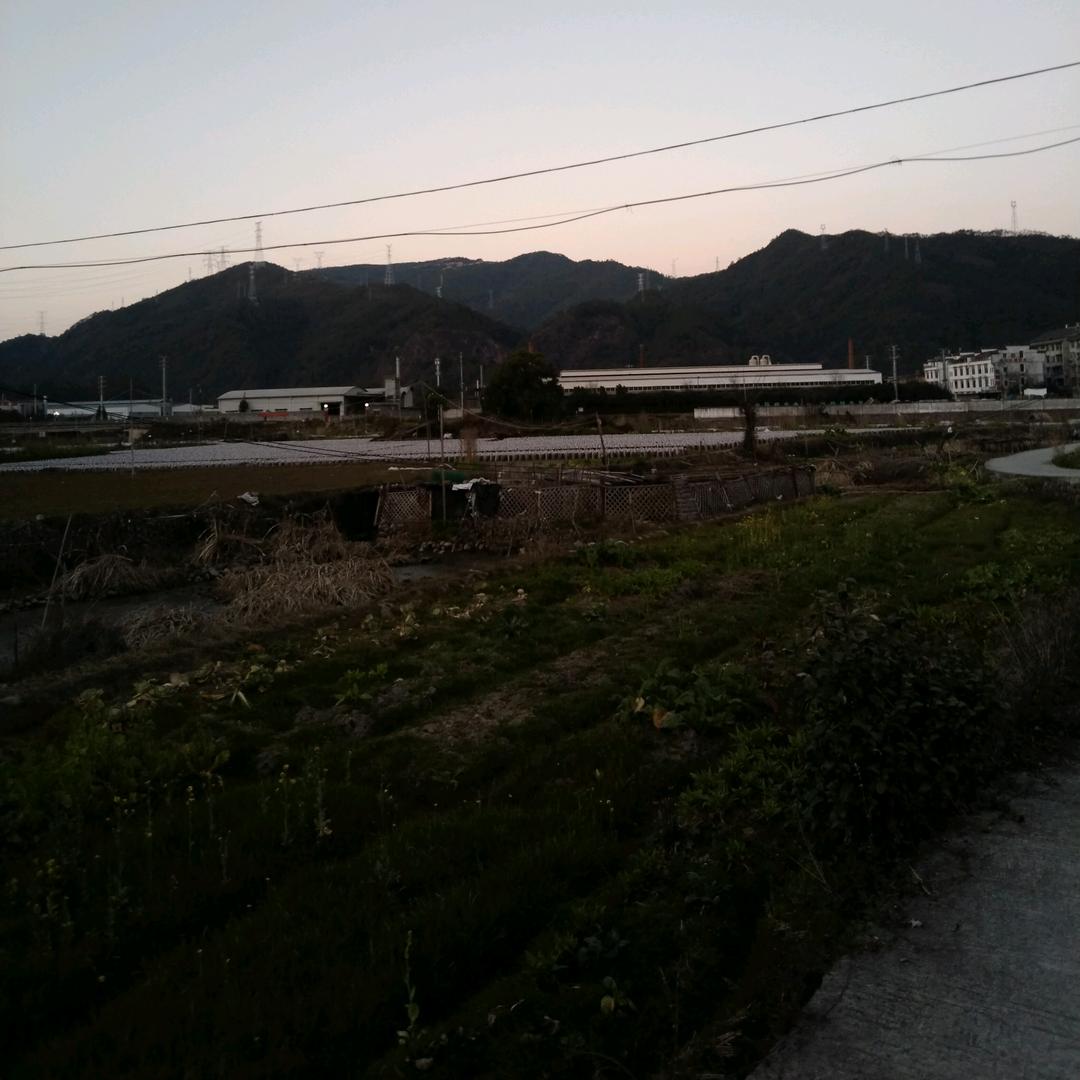 真爱一生