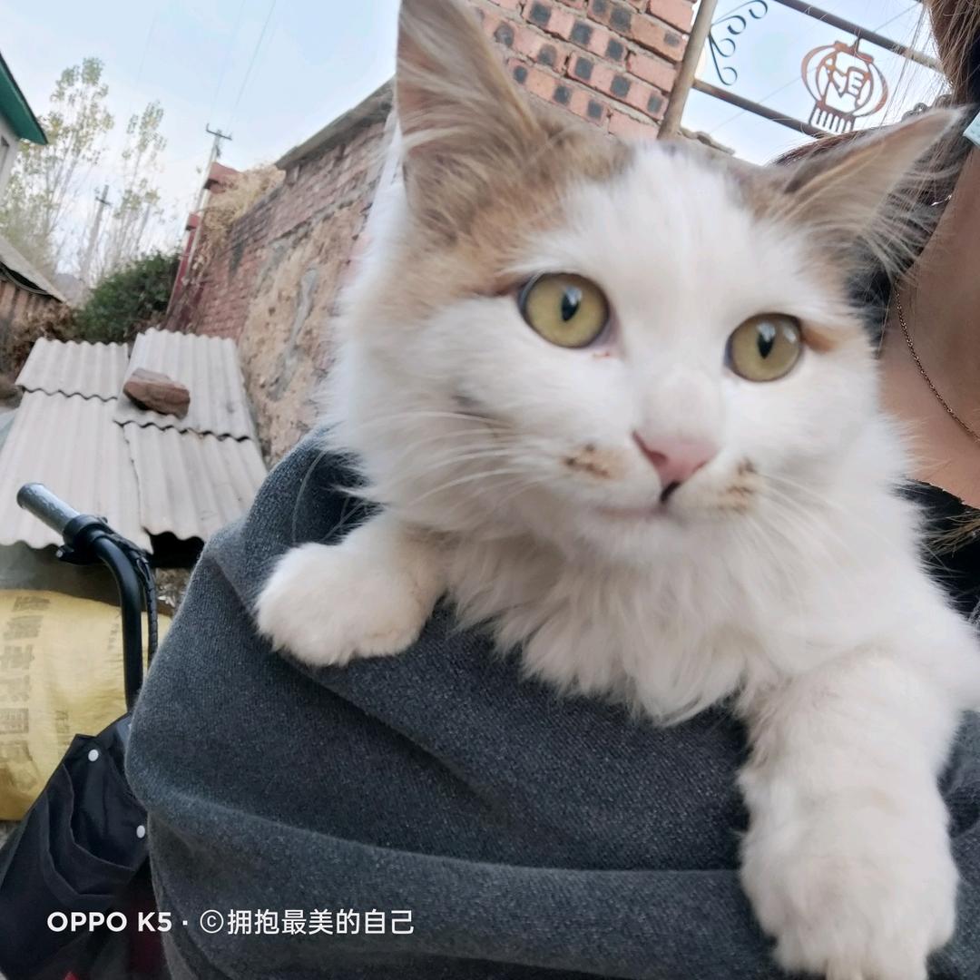 一朵迷茫小奇葩