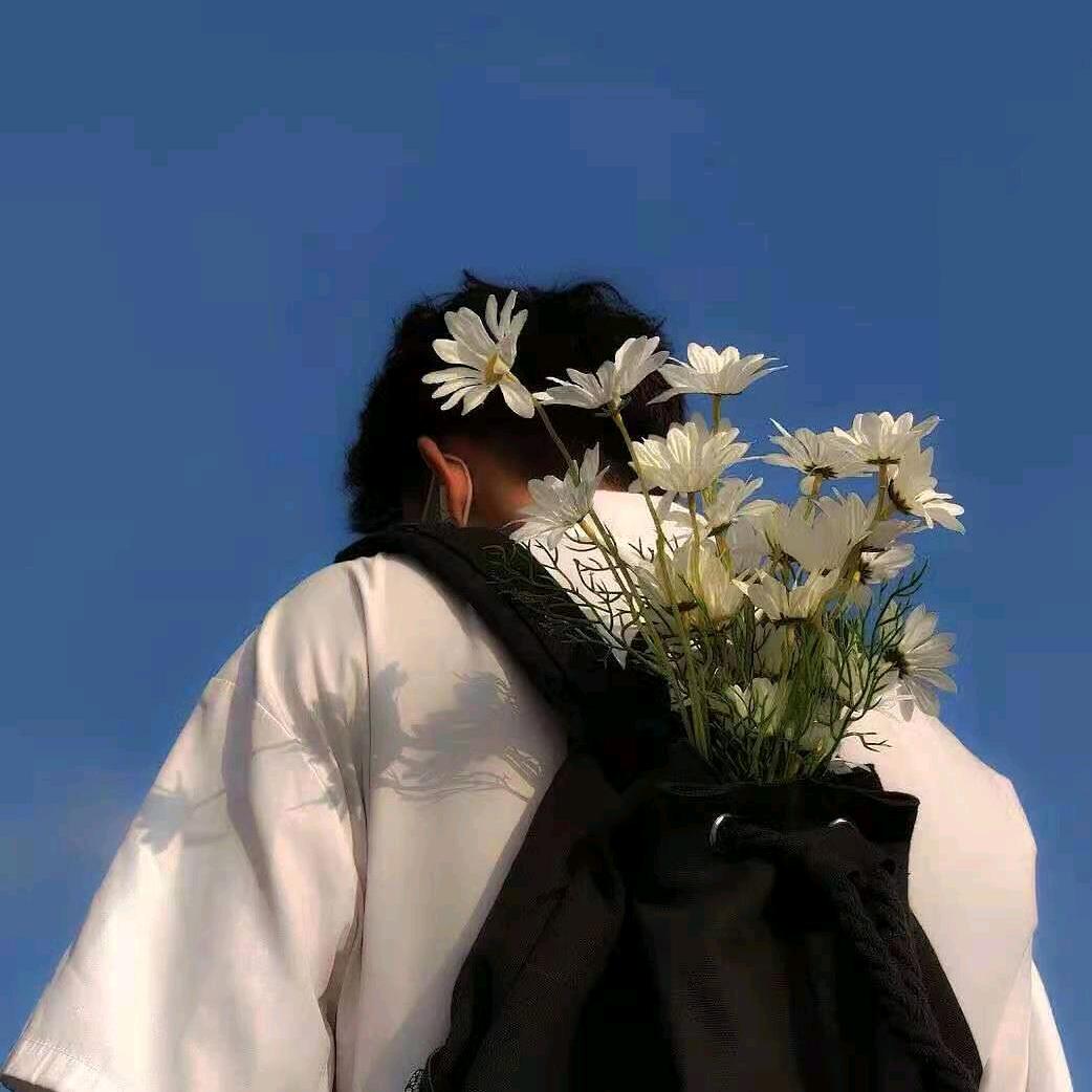 小帆帆✨