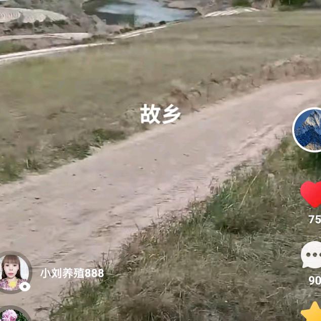 咱不看我来，狗怂