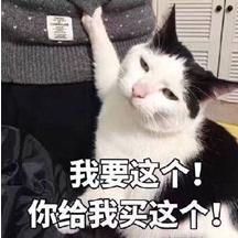 彩虹小嘟滴