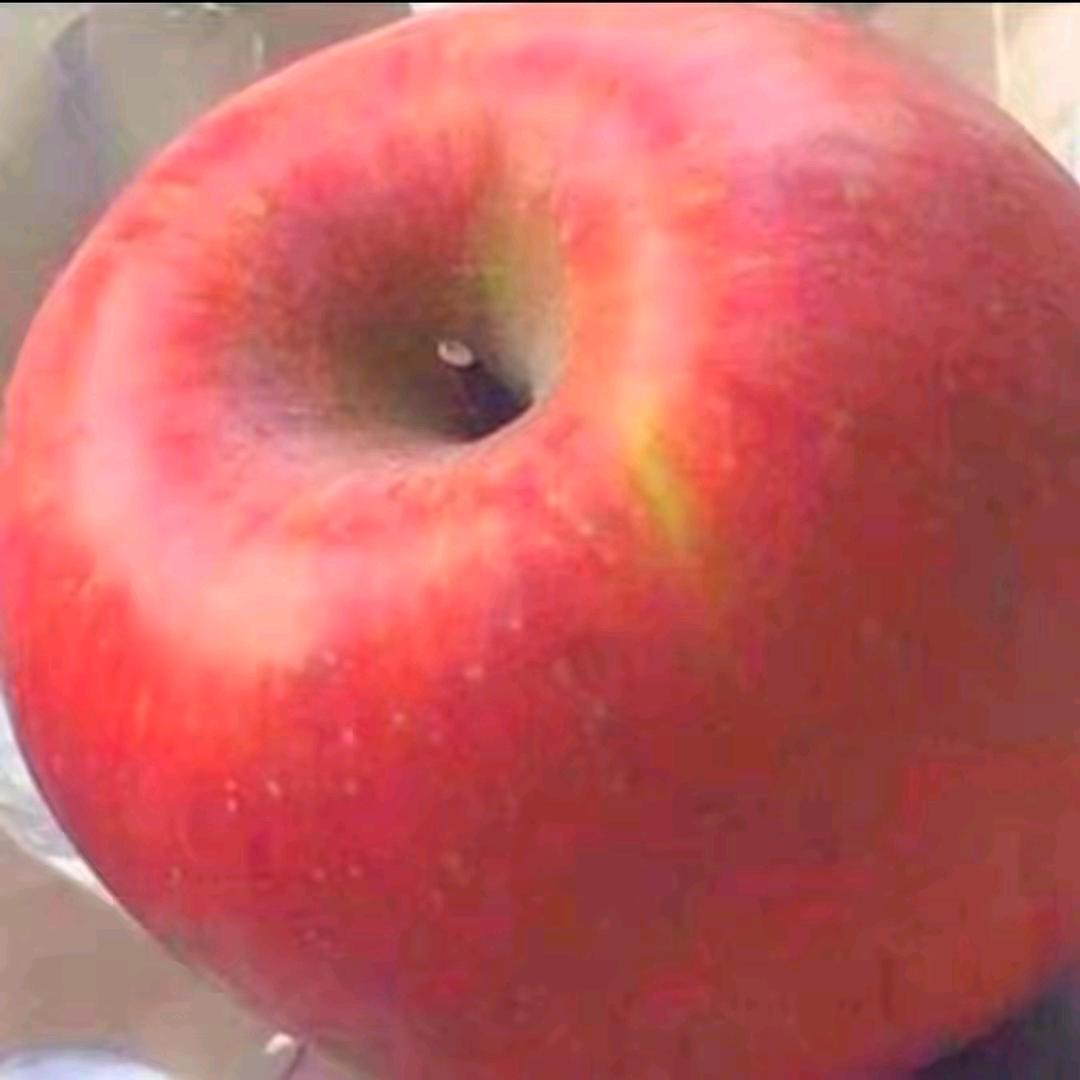 你不管