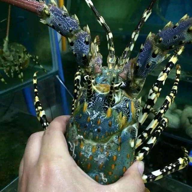 什邡雍城海鲜