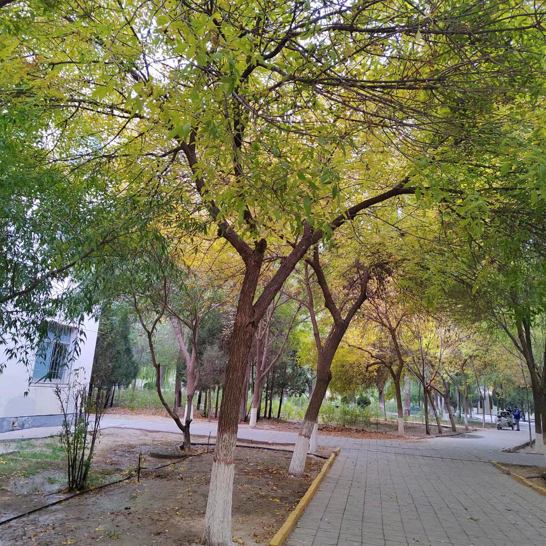 心里有个小太阳