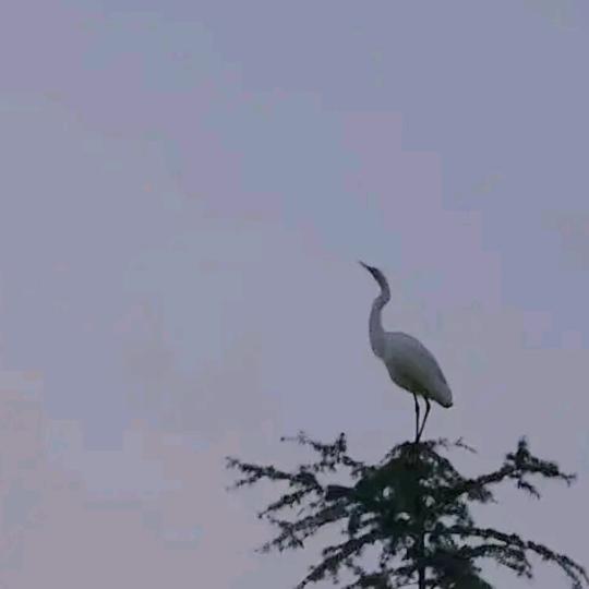 小帽做饭蛮厉害yu