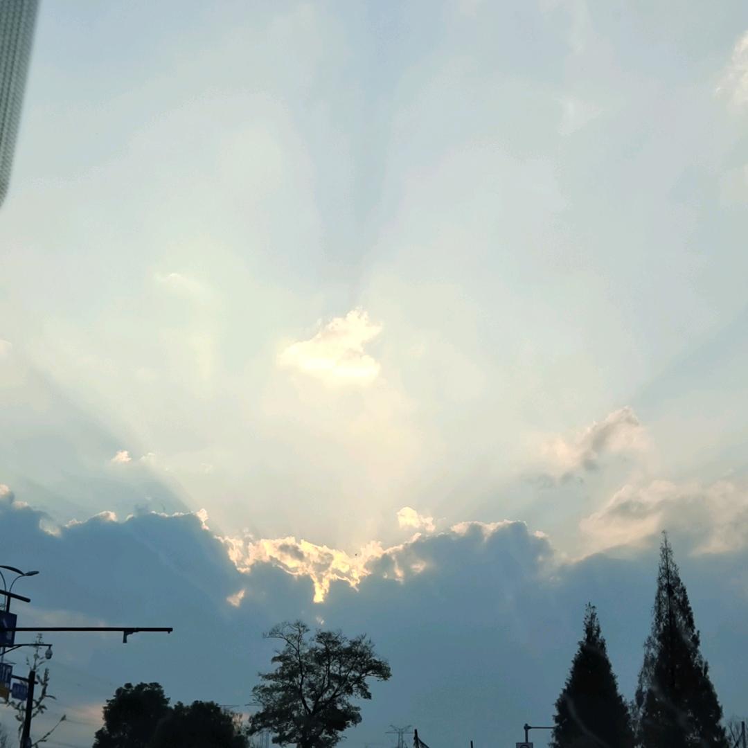 有责任的年轻人