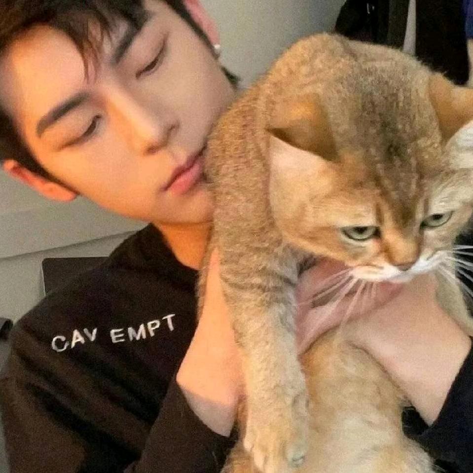 是阿宝呀（增肌版）