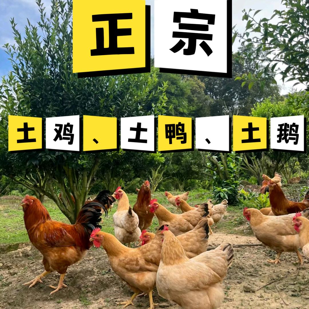 业兴家庭农场