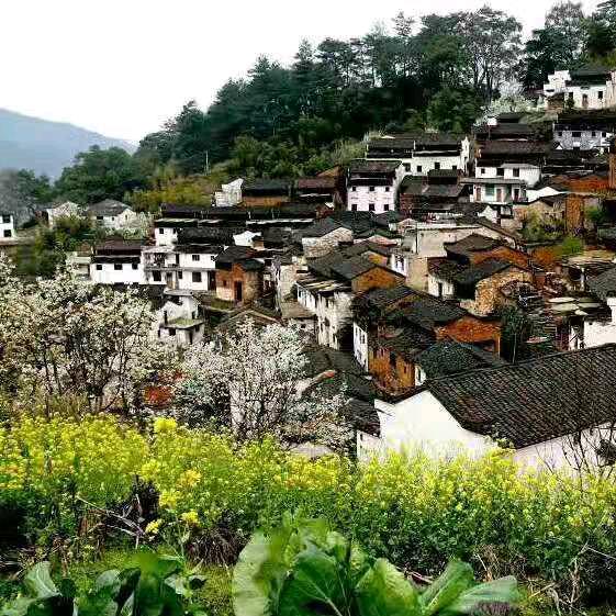 乡旅似锦