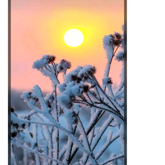 正芳