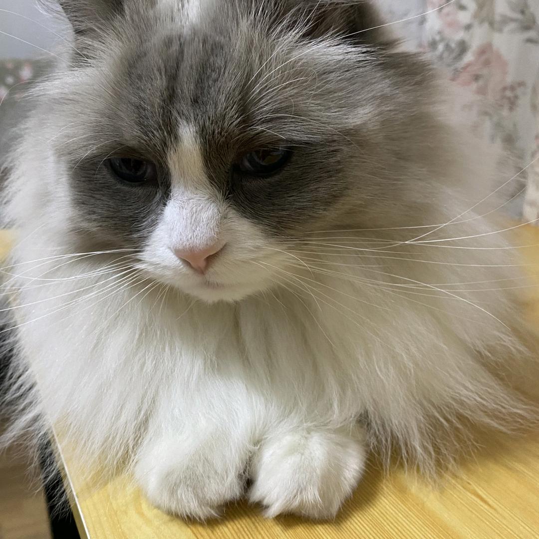 唯孔不乱