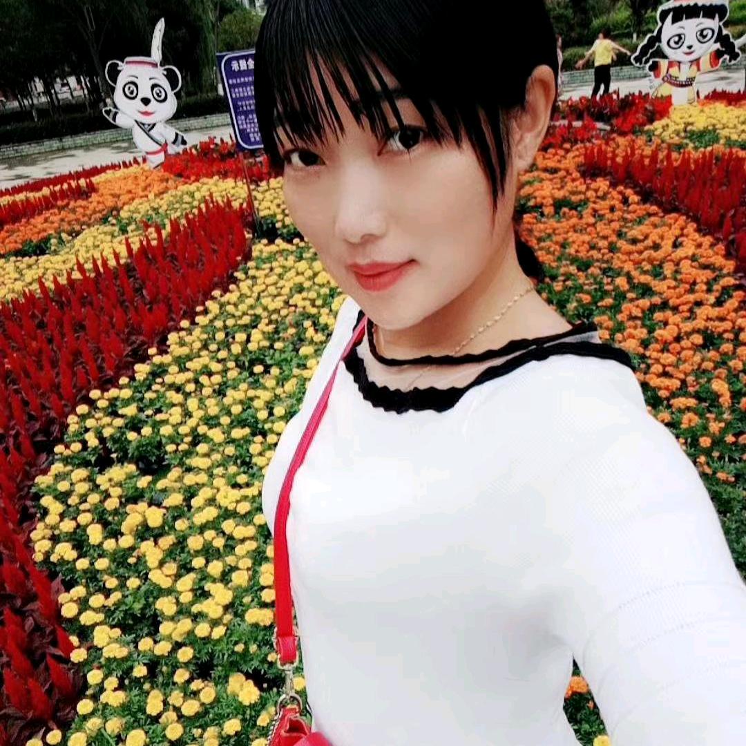 花儿为什么这样红